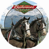 Budweiser Theme Beer Coasters