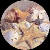 CoasterStone Coasters - Sea Shells