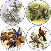 CoasterStone Coasters - Birds