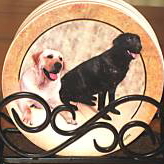 ThirstyStone Coasters - Dogs