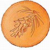 Pine Cone Wood Coasters
